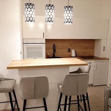Evita Apartment カルロヴァッツ エクステリア 写真