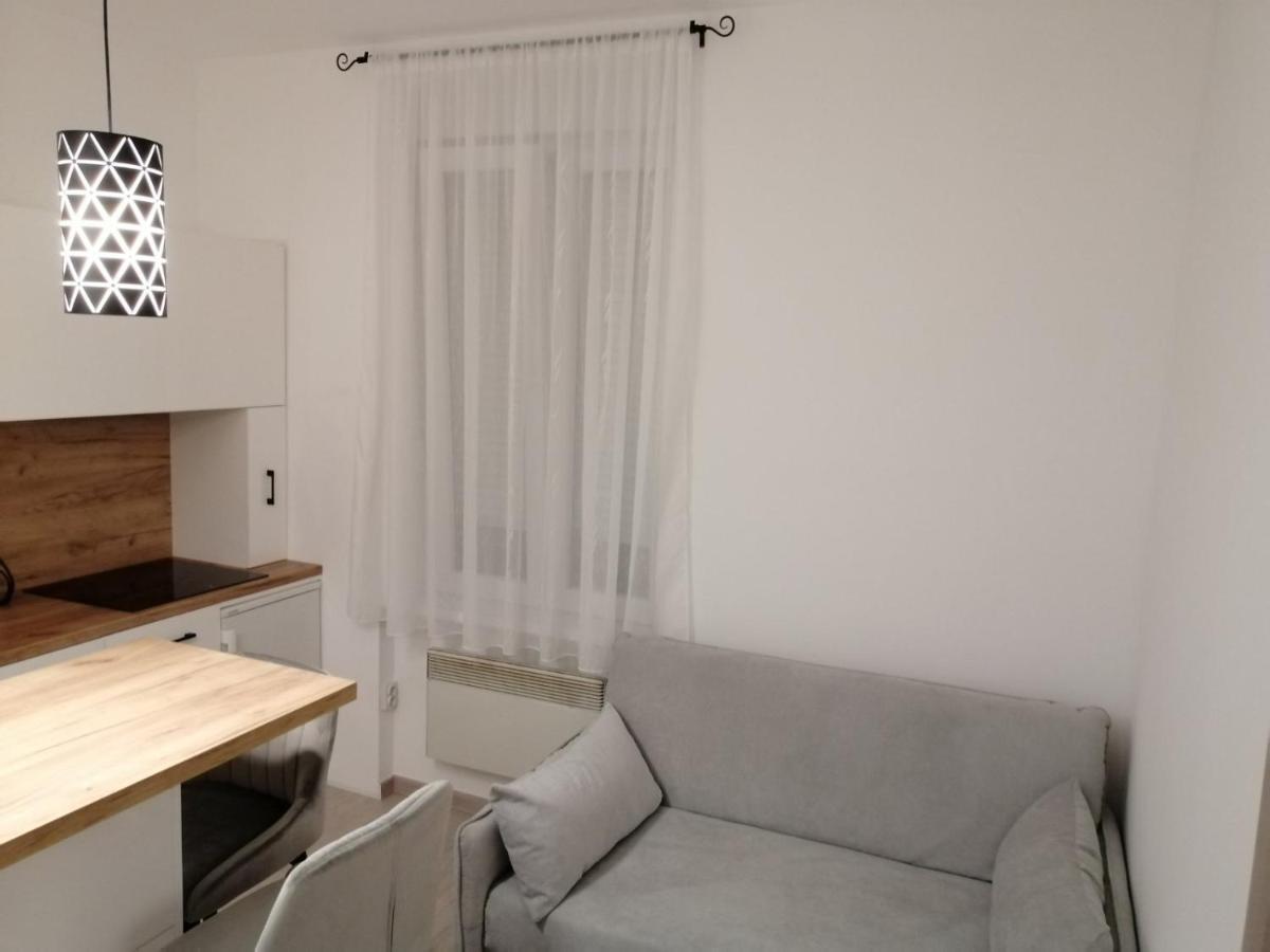 Evita Apartment カルロヴァッツ エクステリア 写真